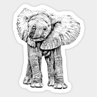 Cute Baby Elephant | African Wildlife Sticker